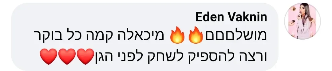 תיאור תמונה